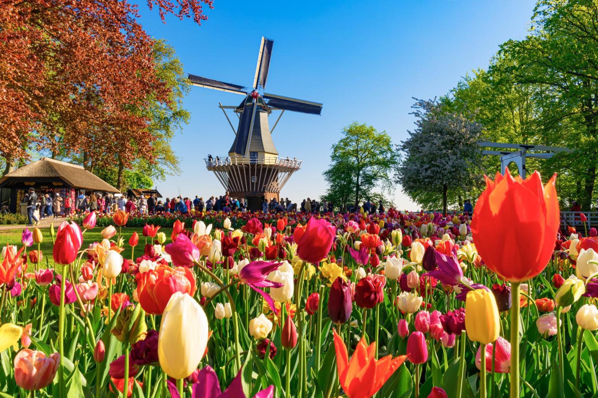 Heerehuys Lisse Villa ภายนอก รูปภาพ